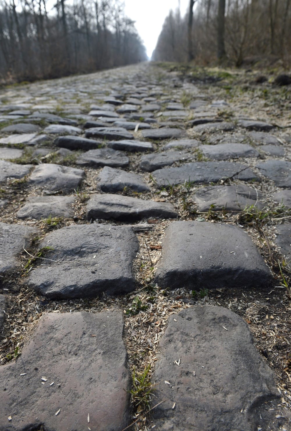 The cobblestones of the Arenberg forest in Paris-Roubaix