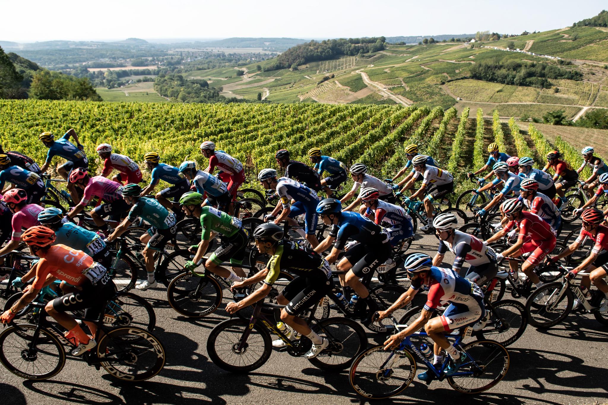 Peloton at the 2020 Tour de France, vineyards in background