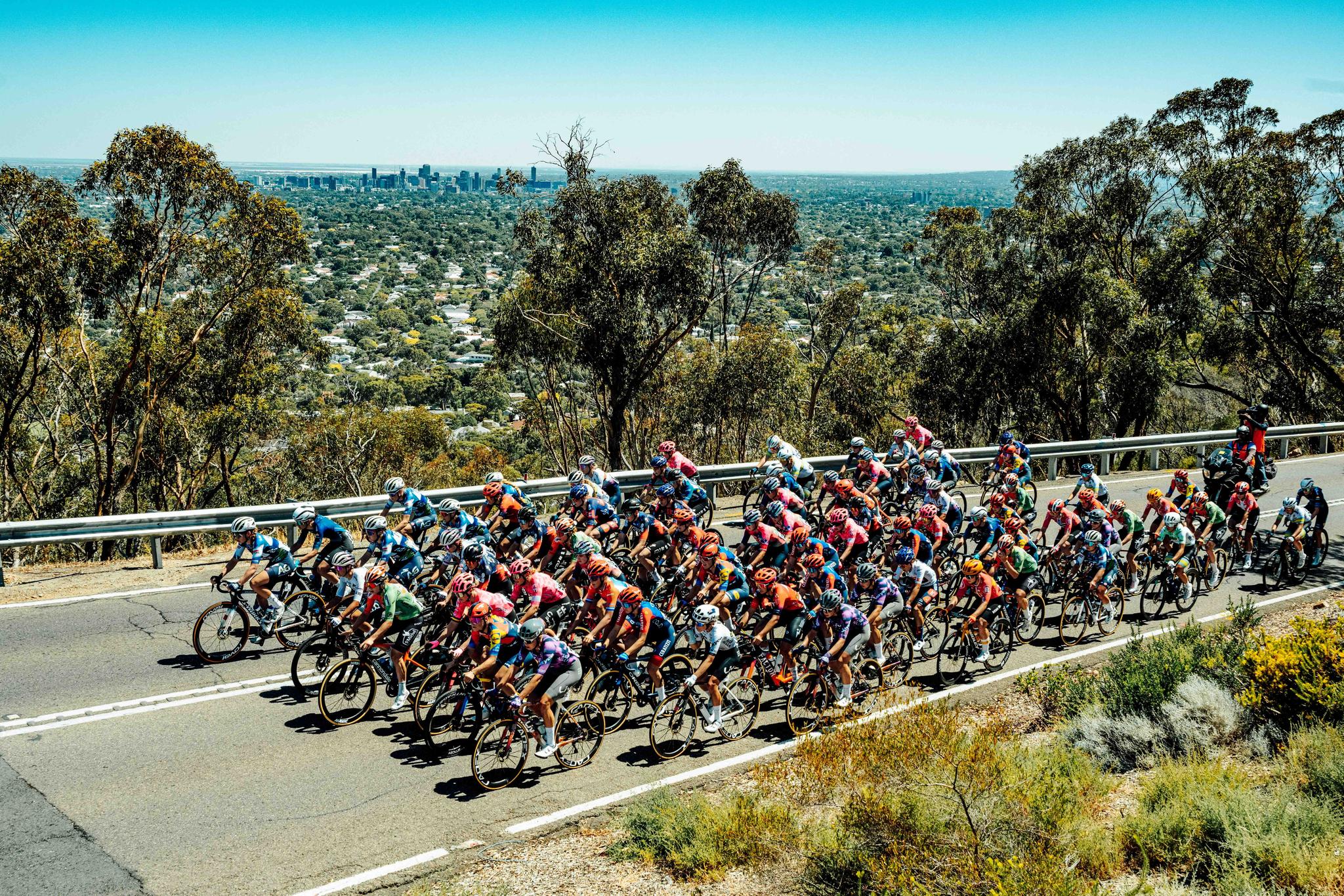 Peloton climbs during the TDU Women's Stage 2, 2025